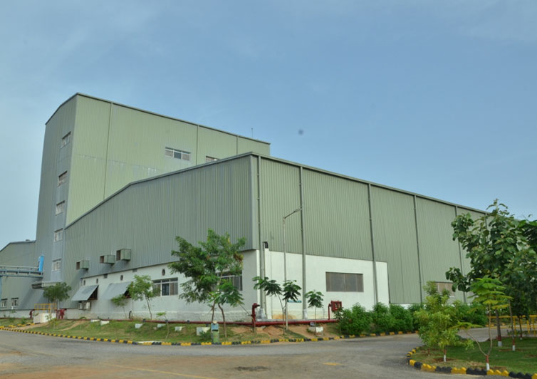 Hindustan Foods About Us